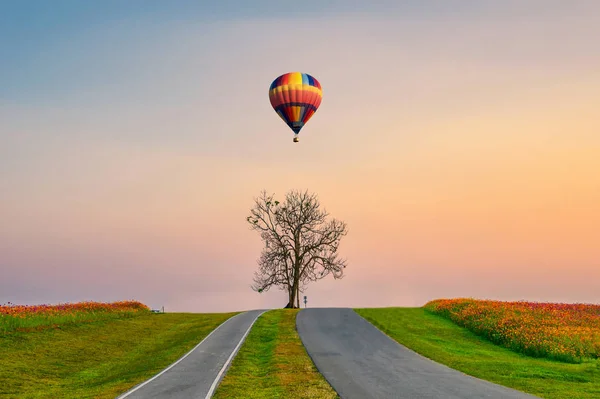 Tepede uçan sıcak hava balonu ile yalnız ağaç — Stok fotoğraf