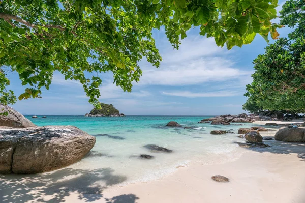 Belle plage de sable blanc avec arbre en mer tropicale — Photo