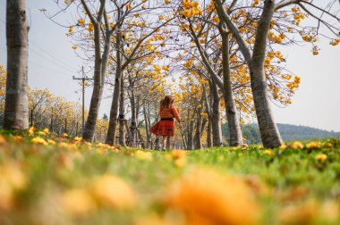 Pamuk ağacı ile kemer doğal yürüyüş genç kadın