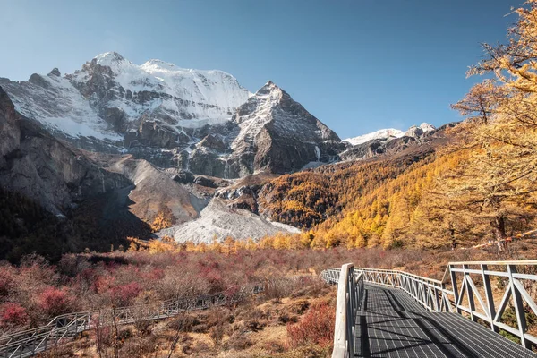 Xiannairi heiliger Berg mit goldenem Kiefernwald im Herbst bei Yad — Stockfoto