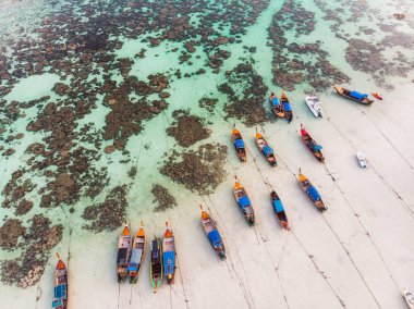 Uzun kuyruklu ahşap botlar mercan kayalıklarıyla kıyı şeridine demir atıyor.
