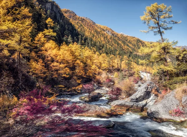 Hermosa cascada en el bosque de pinos de otoño en el parque nacional — Foto de Stock
