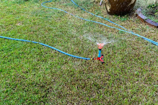 Sprinkler apparaat met water op gazon — Stockfoto