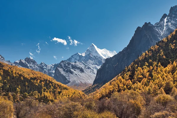 Chana Dorje montanha sagrada no outono pinhal em Shangri-la — Fotografia de Stock