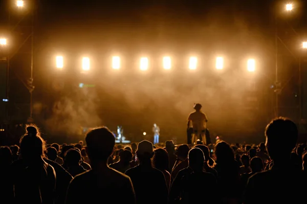 Silhouet jeugdpubliek kijken naar de Night Concert — Stockfoto