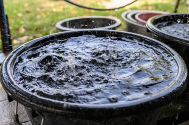 Alma kovasında sıçrama ile düşen su 