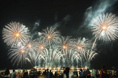 Seyirciler t üzerinde gece gökyüzünde renkli havai fişek izliyor
