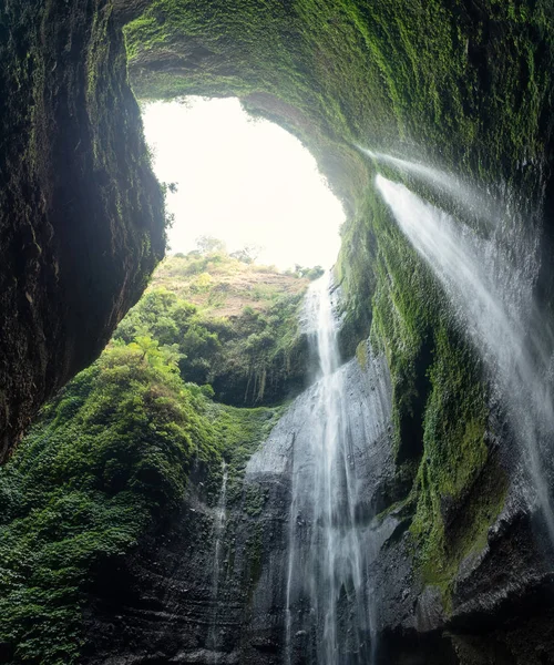 Madakaripura cascata che scorre sulla valle rocciosa con piante in nat — Foto Stock