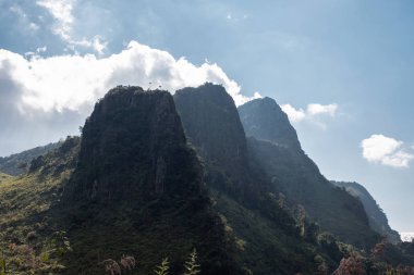 Dağ güneş, yaban hayatı ile tropikal yağmur ormanlarında 