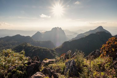 Yaban hayatı kutsal dağ aralığı boyunca güneş
