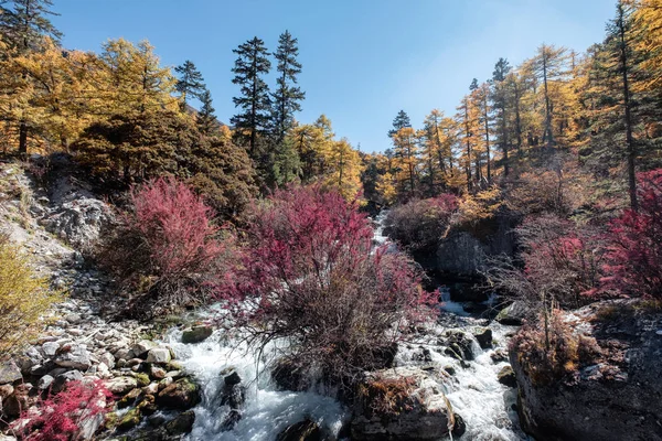 Colorida cascada en el bosque de otoño en la reserva natural de Yading — Foto de Stock