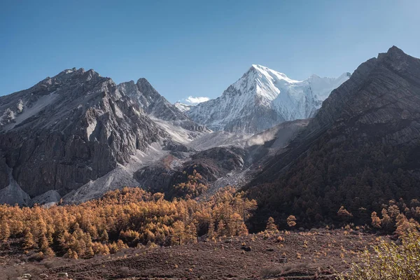 Majestätische Bergkette, die am Morgen mit Kiefernwald glänzt — Stockfoto