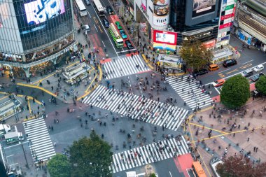 Tokyo, Japonya - 08 Kasım 2017 : Yürüyen Yayaların havadan görünümü 