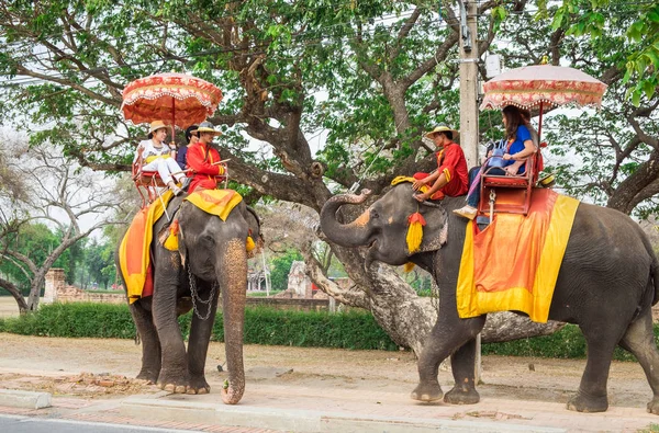 Ayutthaya,Tayland - 09 Mayıs 2015 : İki fil her yapmak selamlıyorum