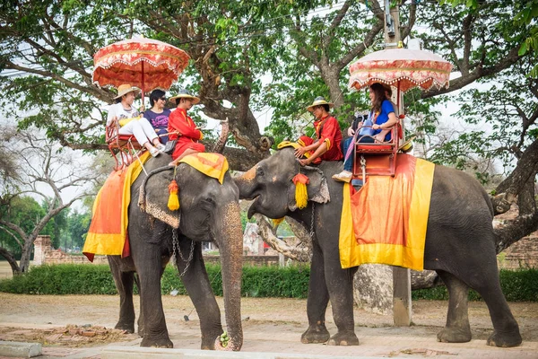Ayutthaya,Tayland - 09 Mayıs 2015 : İki fil her yapmak selamlıyorum