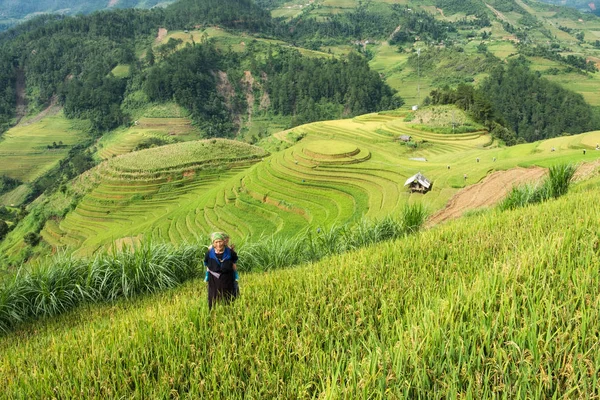 Yen Bai, Vietnam : Eyl 07 2017 : Büyükanne kabile büyük taşıdı