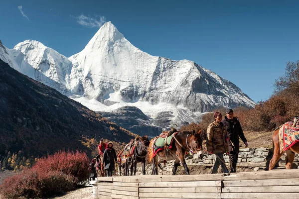 Köylüler kutsal moun dışında turistler ile at sürüse önde gelen — Stok fotoğraf