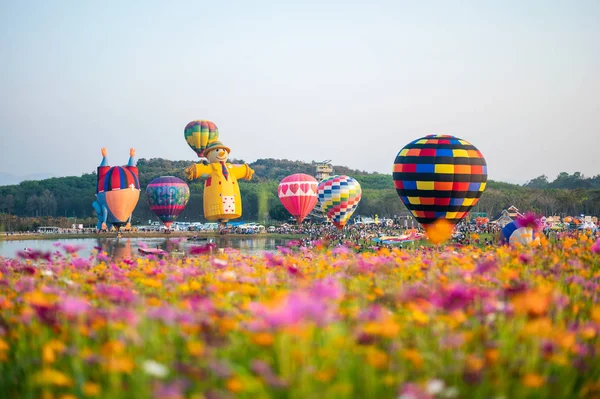 Tourists traveling at colorful balloons festival on cosmos field — Stock Photo, Image