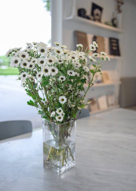 Cam vazo beyaz çiçek yeşil sapı