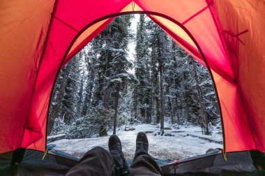 Kanada Yoho Ulusal Parkı 'ndaki kamp alanında kar çamı ormanıyla kırmızı çadırda dinlenen bir gezgin.