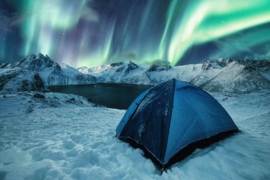 Aurora Borealis 'in Norveç, Senja Adası' ndaki dağ sıralarında dans ettiği karlı tepede mavi bir çadır.