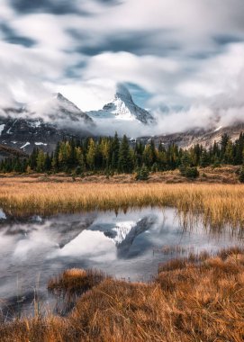 Mount Assiniboine with cloudy blowing on golden meadow at provincial park, BC, Canada clipart