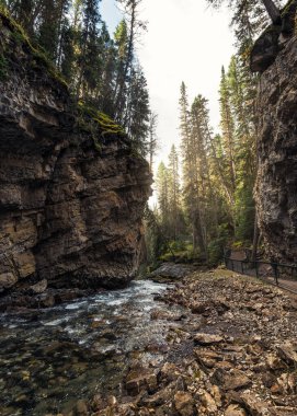 Kanada 'daki Banff Ulusal Parkı' nda kayalıklardan akan akıntılı Johnston Kanyonu