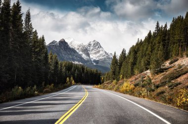 Kanada 'nın Banff milli parkındaki çam ormanlarında asfalt otoyolda ve Rocky dağlarında seyahat ediyor.