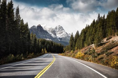 Картина, постер, плакат, фотообои "путешествие по асфальтовому шоссе и скалистым горам в сосновом лесу в национальном парке банф, канада", артикул 409303710