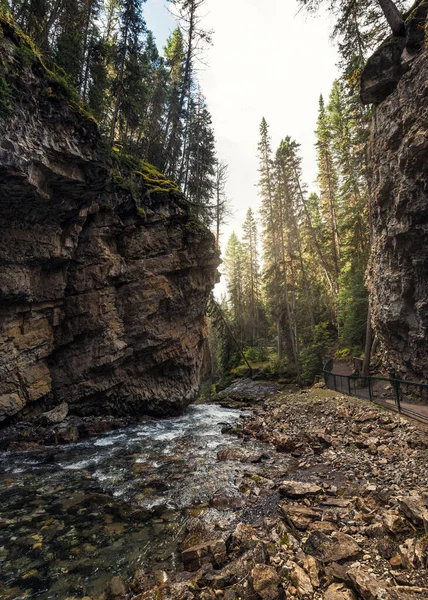 Johnston Canyon Con Arroyo Fluyendo Acantilado Roca Parque Nacional Banff — Foto de Stock