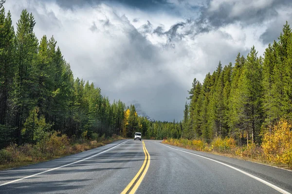 Asphalt highway in autumn pine forest and gloomy sky at Banff national park, Canada