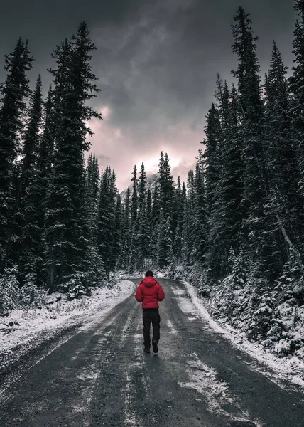 Kanada Yoho Milli Parkı 'nda karla kaplı bir şekilde kirli yolda yürüyen bir gezgin.