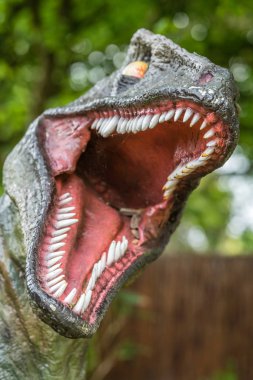Bir Velociraptor dinozor heykel açık ağzı keskin dişleri