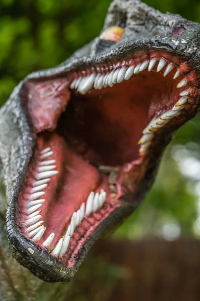 Bir Velociraptor dinozor heykel açık ağzı keskin dişleri