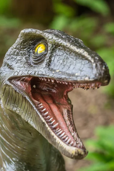 Bir Velociraptor dinozor heykel açık ağzı keskin dişleri