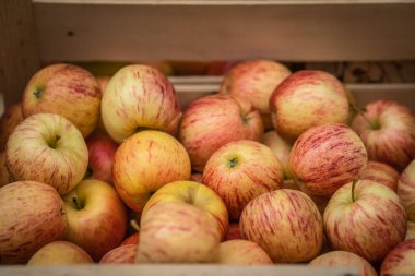 Retro grunge sepet içinde belgili tanımlık çarşı içinde depolanan Satılık taze kırmızı ve Sarı elmalar