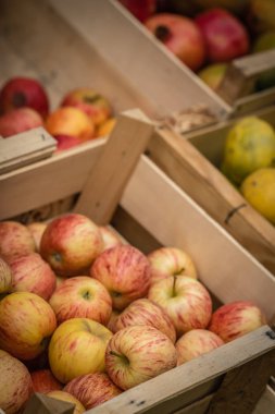 Retro grunge sepet içinde belgili tanımlık çarşı içinde depolanan Satılık taze kırmızı ve Sarı elmalar