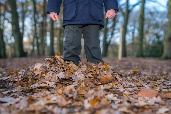 Хлопчик Стоїть Глибоко Опале Листя Восени Лісі — стокове фото