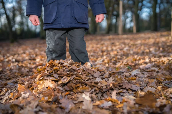 Junge Steht Herbst Tief Laub Wald — Stockfoto