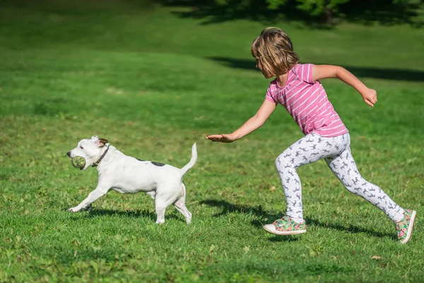 一个年轻的白种女孩的肖像追逐的小狗谁抓住网球 — 图库照片