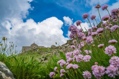 St Ives, İngiltere - Haziran 2018: Pembe deniz tasarruf çiçek ve Saint Ives, Cornwall, İngiltere'de kilisede Aziz Nikolaos