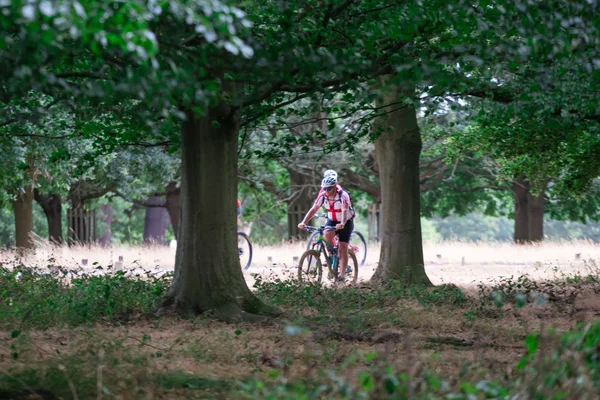 Londres Inglaterra Julho 2018 Pessoas Andando Bicicleta Richmond Park — Fotografia de Stock