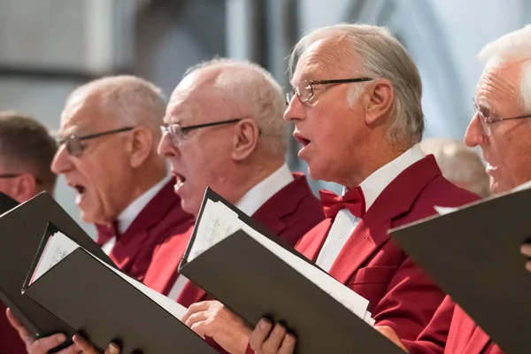 Rochester Engeland Juli 2018 Mens Koor Presterende Een Kathedraal Kent — Stockfoto