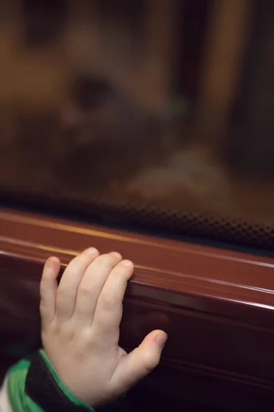 Niño Mirando Por Ventana Del Autobús Mientras Viaja Bajo Lluvia —  Fotos de Stock