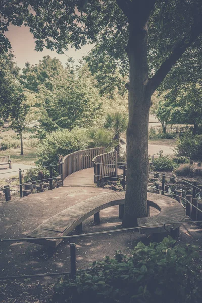 ウィンブルドン ロンドンで公共の公園で木の周りのツイストのベンチ — ストック写真