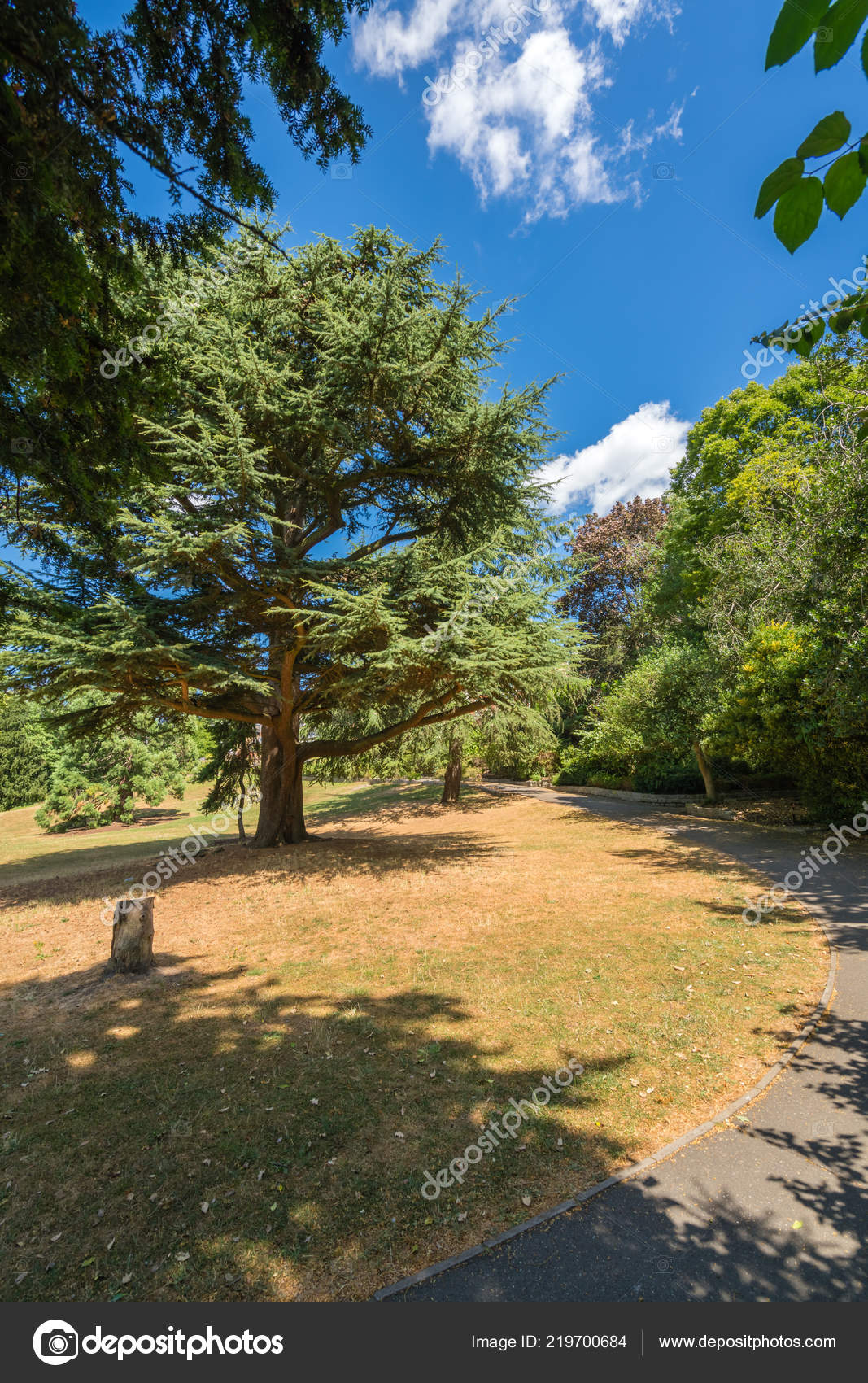 Walking Path Terrace Gardens Richmond Park London Stock Photo