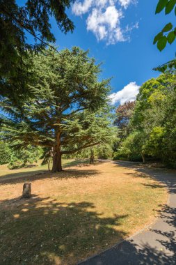 Teras bahçeleri Londra Richmond Park yakınındaki yürüme yolu