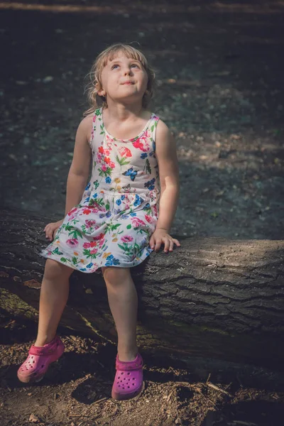 Menina Branca Bonito Posando Tronco Árvore Uma Floresta Verão — Fotografia de Stock