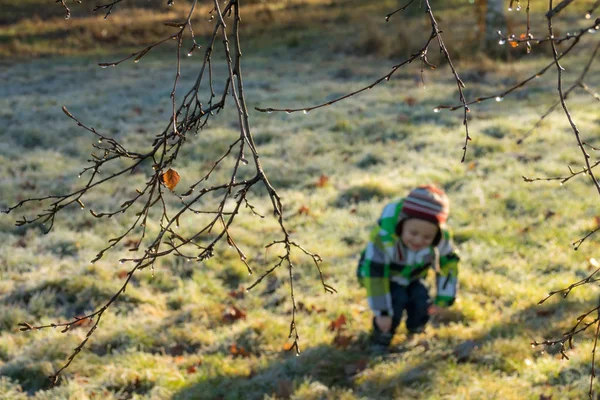 Petit Garçon Caucasien Marchant Sur Herbe Dans Parc Automne — Photo