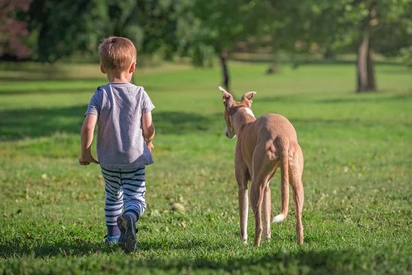 Portrait Jeune Garçon Caucasien Marchant Dans Parc Avec Grand Chien — Photo